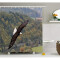 Rideau de douche Aigle 180x180 cm - miniature