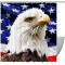 Rideau de douche Aigle multi-couleur - miniature