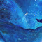 Rideau de douche Baleine multicolore 150x180 cm - miniature variant 3