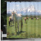Rideau de douche Cheval multi 175x240 cm - miniature variant 3