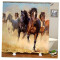 Rideau de douche Cheval 180x180 cm - miniature