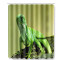 Rideau de douche Caméléon 180x180 cm - miniature