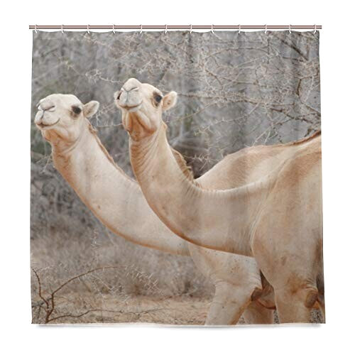Rideau de douche Chameau multicolore 182.9x183 cm variant 0 