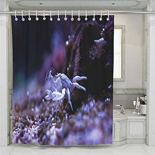 Rideau de douche Crabe 90x180 cm