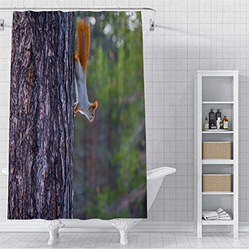 Rideau de douche Écureuil 180x180 cm