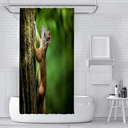 Rideau de douche Écureuil 180x180 cm variant 2 