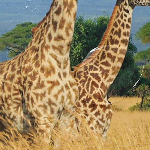 Rideau de douche Girafe multicolore variant 2 