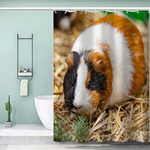 Rideau de douche Hamster couleur 180x200 cm