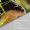 Rideau de douche Hamster couleur 120x180 cm - miniature variant 4