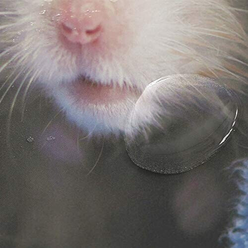 Rideau de douche Hamster multicolore 182x182 cm variant 3 