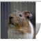 Rideau de douche Hamster multicolore - miniature