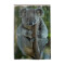 Rideau de douche Koala multicolore 122x183 cm - miniature