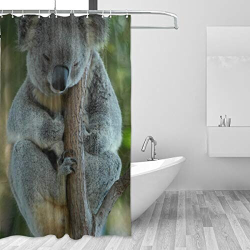 Rideau de douche Koala multicolore 152.4x182.9 cm