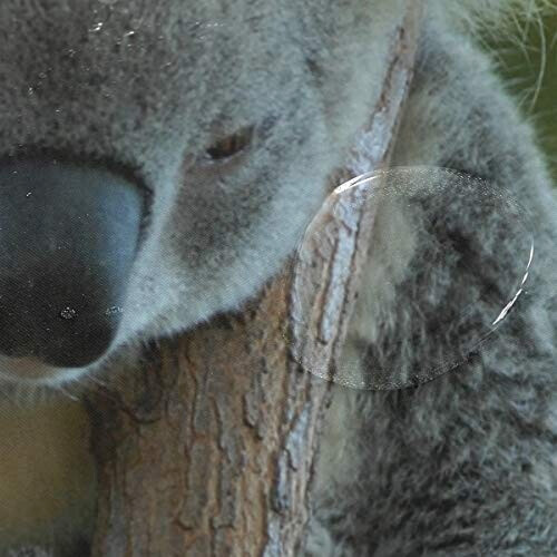 Rideau de douche Koala multicolore 152.4x182.9 cm variant 2 