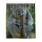 Rideau de douche Koala multicolore 152.4x182.9 cm - miniature variant 1