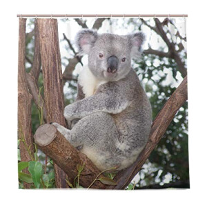Rideau de douche Koala multicolore 183x183 cm