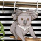 Rideau de douche Koala couleur 120x180 cm - miniature variant 5