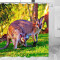 Rideau de douche Kangourou yl- 180x180 cm - miniature