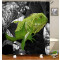 Rideau de douche Lézard vert 180x180 cm - miniature variant 1
