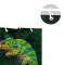 Rideau de douche Lézard multicolore 150x180 cm - miniature variant 4