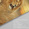 Rideau de douche Lion couleur 120x180 cm - miniature variant 4