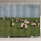 Rideau de douche Mouton 120x200 cm - miniature variant 1