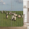 Rideau de douche Mouton 120x200 cm - miniature variant 2