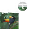Rideau de douche Toucan - Oiseau - multicolore 182.9x182.9 cm - miniature variant 4