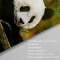 Rideau de douche Panda couleur 180x200 cm - miniature variant 3