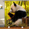 Rideau de douche Panda 120x200 cm - miniature