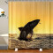 Rideau de douche Requin océanique 120x200 cm - miniature