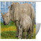 Rideau de douche Rhinocéros rhino blanc la famille des 152.4x182.88 cm - miniature