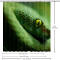 Rideau de douche Serpent multicolore 152.4x182.9 cm - miniature variant 5