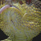 Rideau de douche Serpent multicolore 152.4x182.9 cm - miniature variant 3
