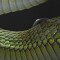 Rideau de douche Serpent multicolore 180x180 cm - miniature variant 3