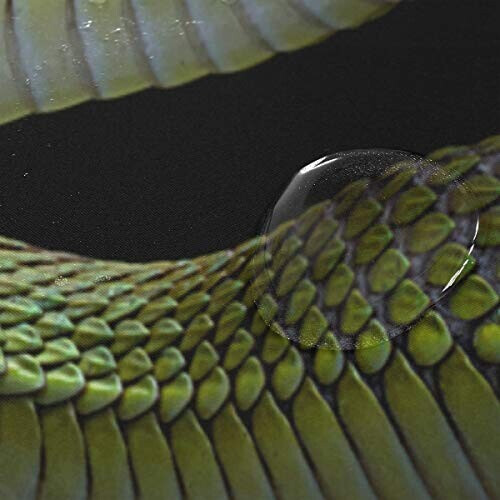 Rideau de douche Serpent multicolore 167.6x182.9 cm variant 2 