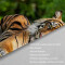 Rideau de douche Tigre couleur 180x180 cm - miniature variant 4