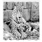 Rideau de douche Tigre bleu marine blanc 175x200 cm - miniature variant 1