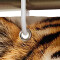 Rideau de douche Tigre brun 150x200 cm - miniature variant 1
