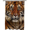 Rideau de douche Tigre brun 150x200 cm - miniature variant 4