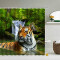 Rideau de douche Tigre a- 150x200 cm - miniature