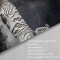 Rideau de douche Tigre couleur 180x180 cm - miniature variant 4