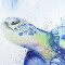 Rideau de douche Tortue multi 150x180 cm - miniature variant 4