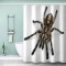 Rideau de douche Araignée couleur 180x180 cm - miniature