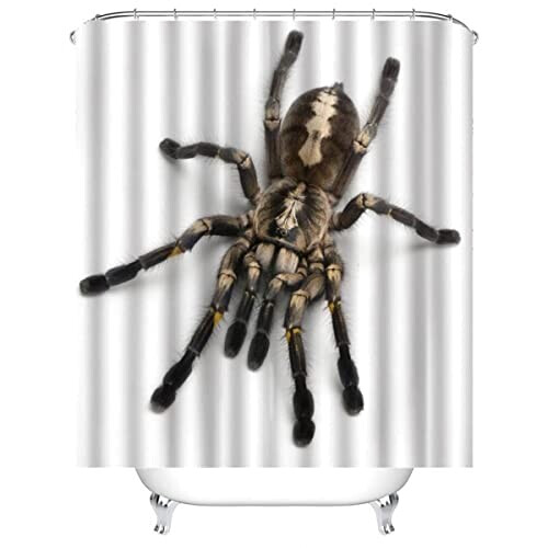 Rideau de douche Araignée couleur 180x180 cm variant 1 