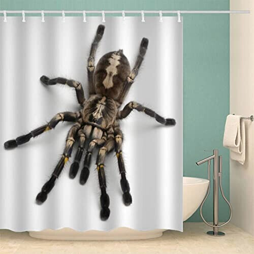 Rideau de douche Araignée couleur 180x180 cm variant 2 