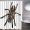 Rideau de douche Araignée couleur 180x180 cm - miniature variant 1