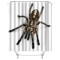 Rideau de douche Araignée couleur 180x180 cm - miniature variant 2