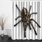Rideau de douche Araignée couleur 120x180 cm - miniature variant 1