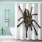 Rideau de douche Araignée couleur 120x180 cm - miniature variant 2